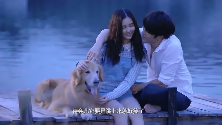 滚动的奶酪